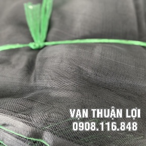 LƯỚI BẦU BÍ 