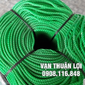 DÂY THỪNG XANH LÁ