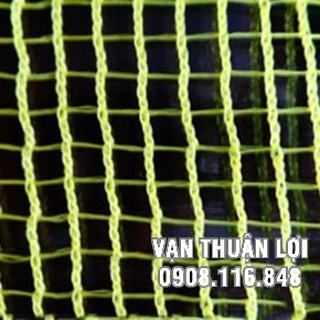 LƯỚI TRŨ VÀNG