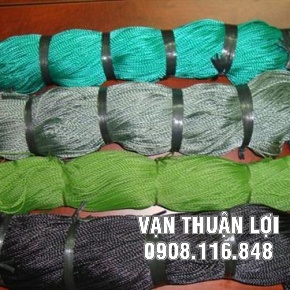 Chỉ cào NHIỀU MÀU