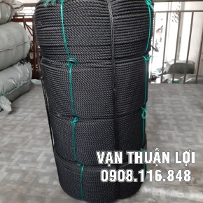 DÂY THỪNG ĐEN