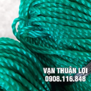 CHỈ CÀO