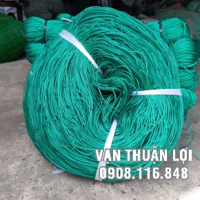LƯỚI BẦU - BÍ ,....