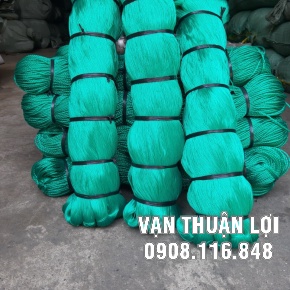 CHỈ CÀO XANH NGỌC