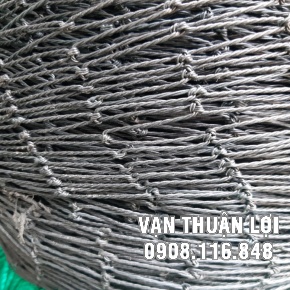 LƯỚI GÀ - VỊT ( Chụp cận )