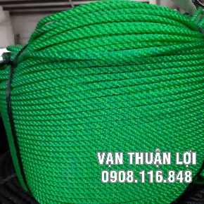 DÂY THỪNG XANH LÁ (Chụp Cận )
