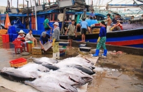 Hỗ trợ ngư dân: Tiền thôi, chưa đủ!