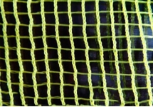 Lưới Ly (Lưới Trũ)